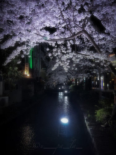 Kyoto