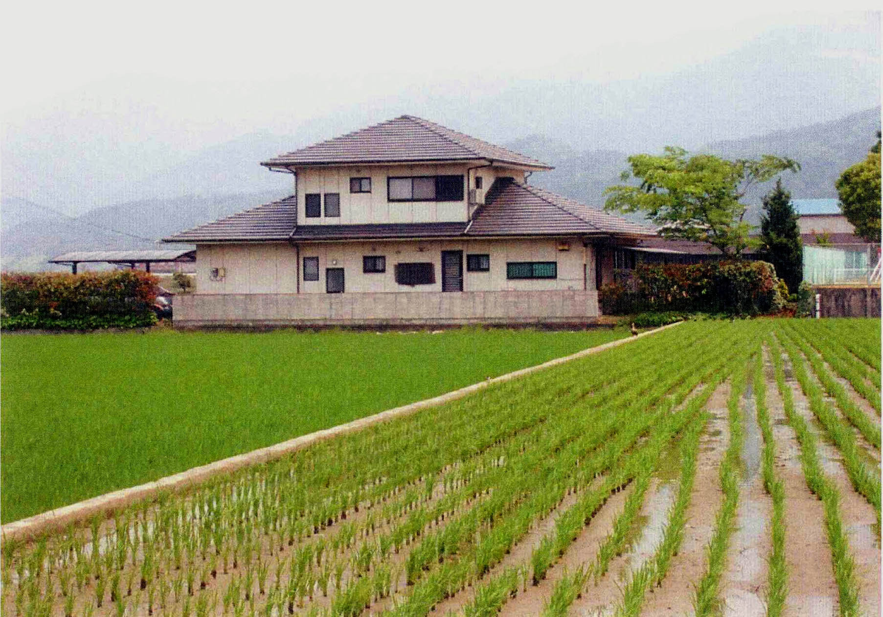 田舎の家.jpg