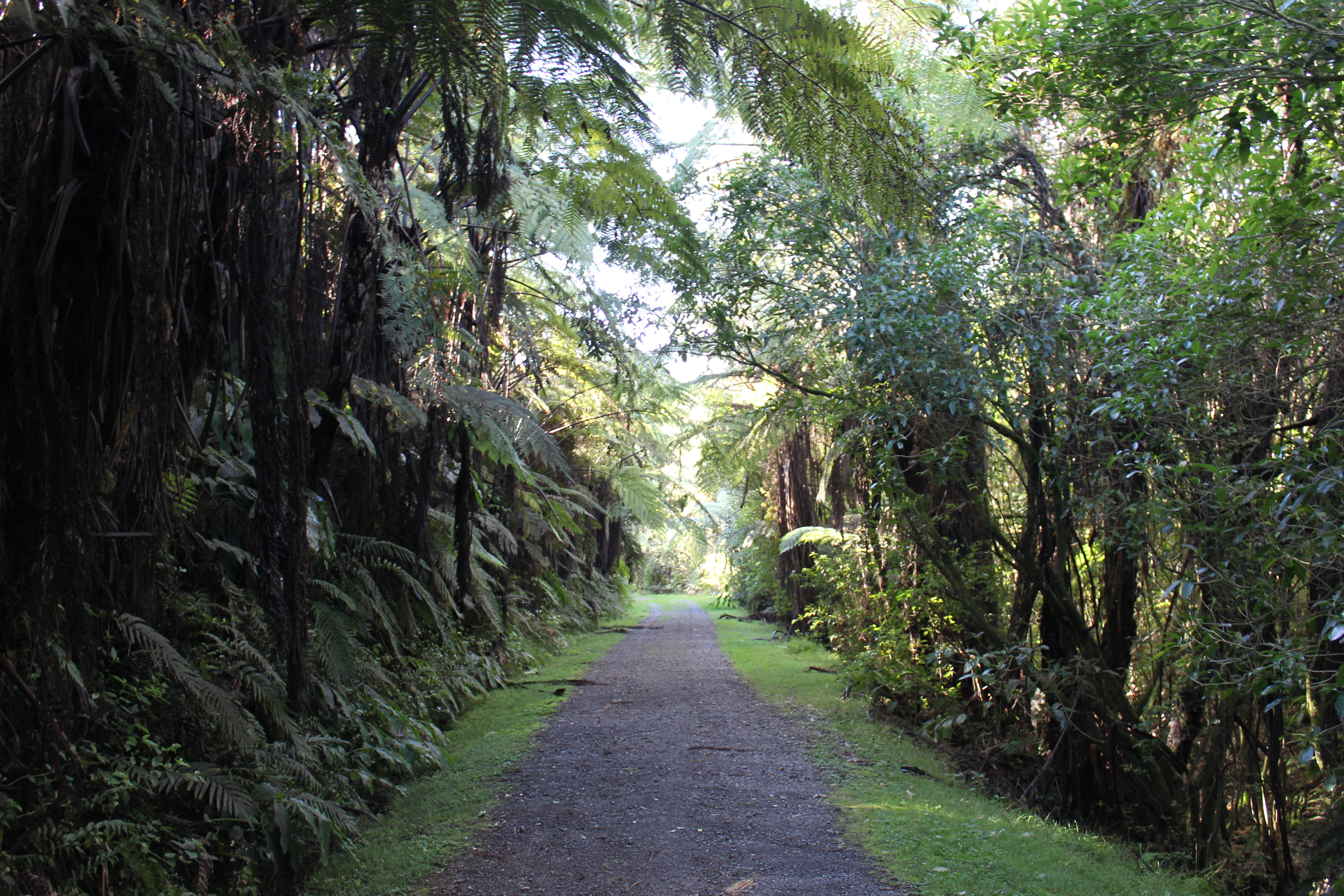 Performance vs. Favor　パフォーマンスと厚意