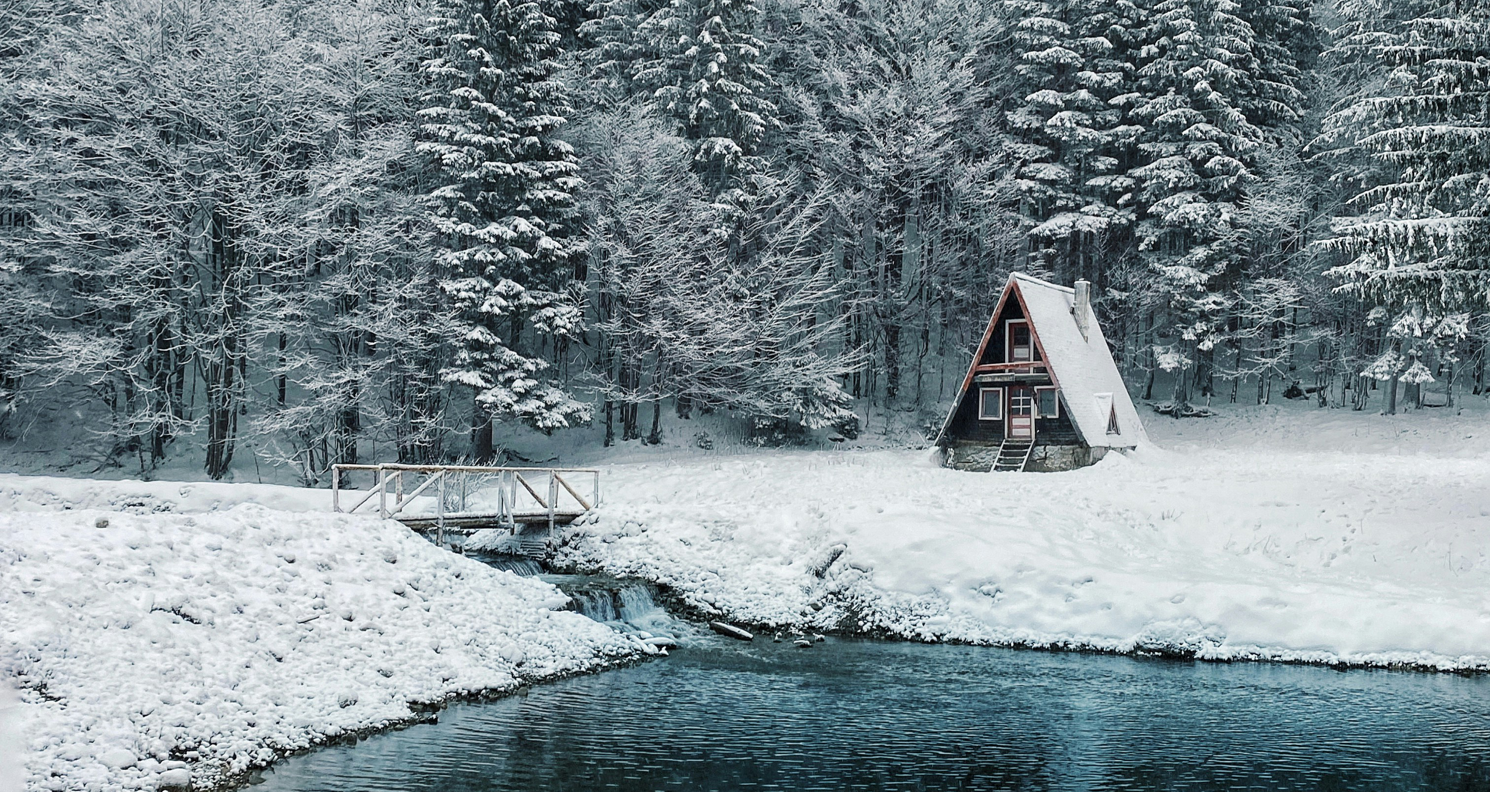 Winter Quiet and Walls That Breathe  冬の入り口と静かなぬくもり