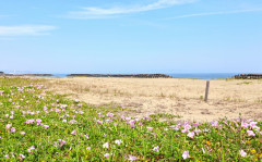 s-IMG_0421.jpg