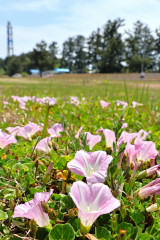 s-IMG_0450.jpg