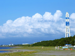 IMG_7769.JPG