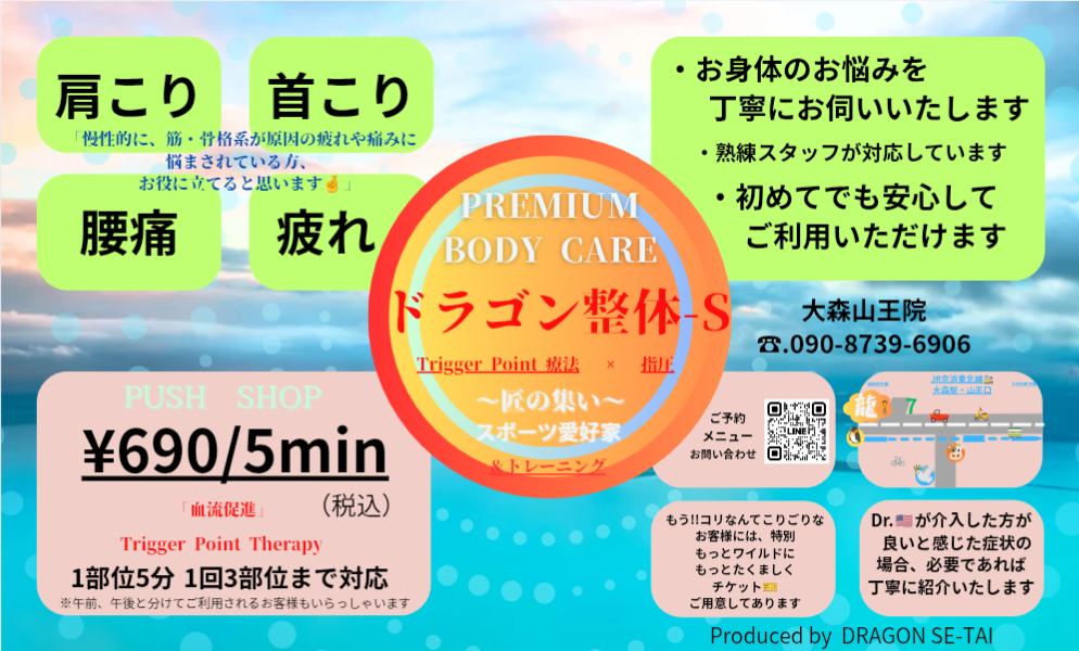 ドラゴン整体 大森山王院