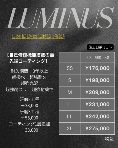 Black & White Monochrome Simple Aesthetic Price List Portrait Instagram Post-5.png