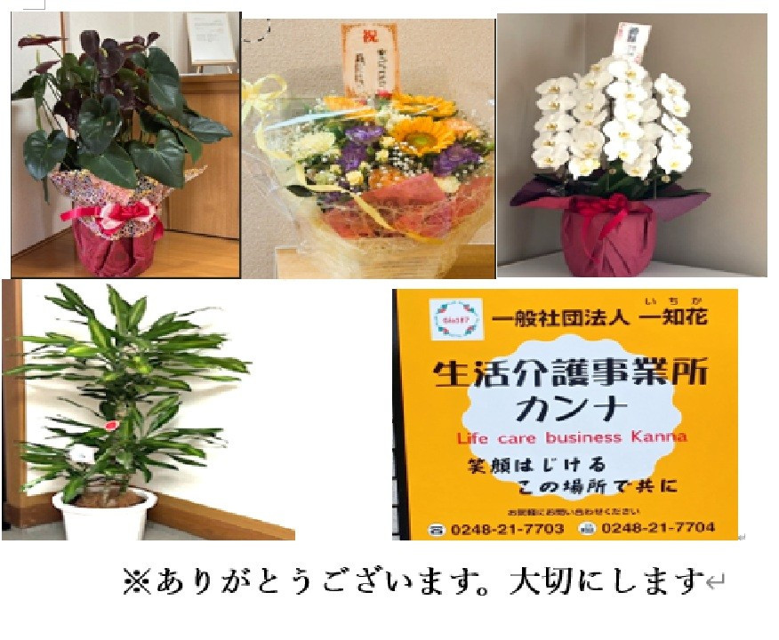ありがとうございます。
