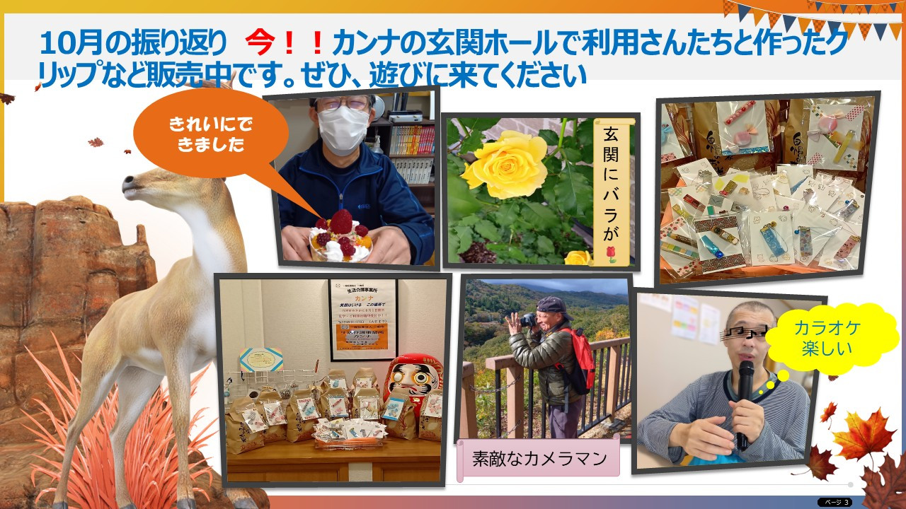 10月のカンナの様子です