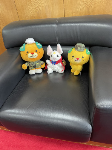 『オレンジスカイ』松山駐屯地アイドル「道後よつば🍀」と愛媛県のアイドル「みきゃん」に捧ぐ歌