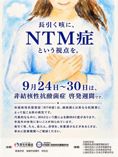 スクリーンショット 2026-08-28 155035.jpg