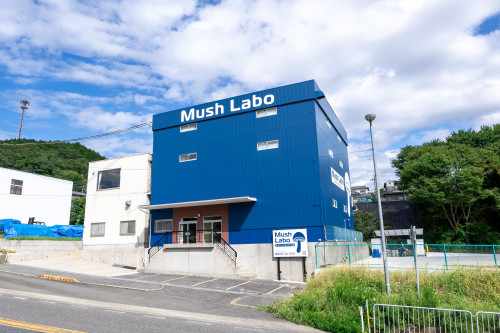 HP始めました。