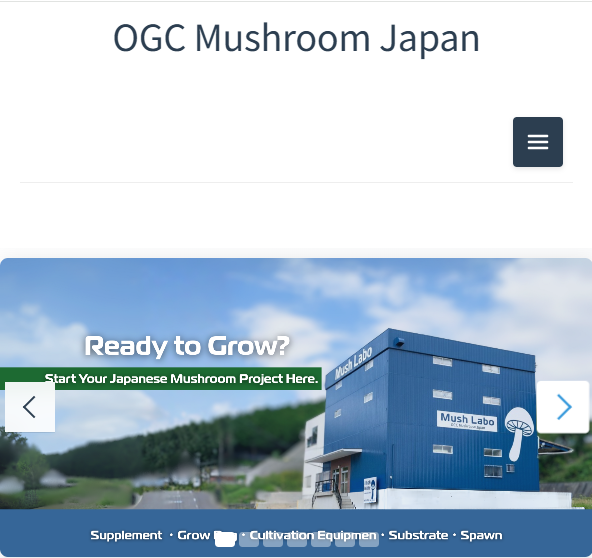 OGC Mushroom Japan - Ready to Grow