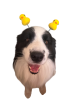 IMG_3331.png