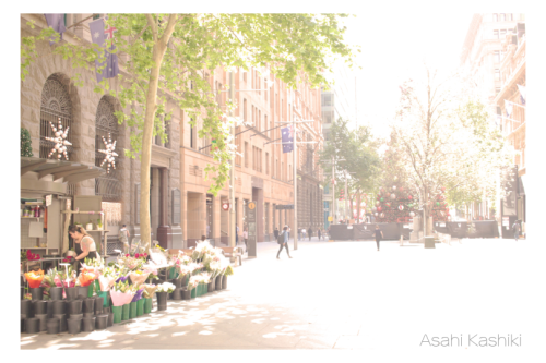 HPportfolio Sydney2020-1.png