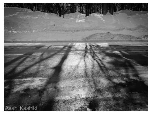 HP dailyphotos-14.png