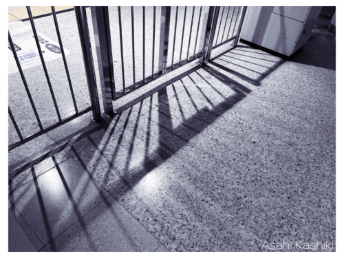 HP dailyphotos-12.png