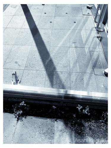 HP dailyphotos-8.png