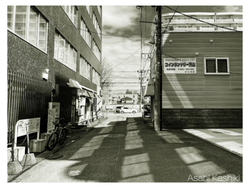 HP dailyphotos-11.png