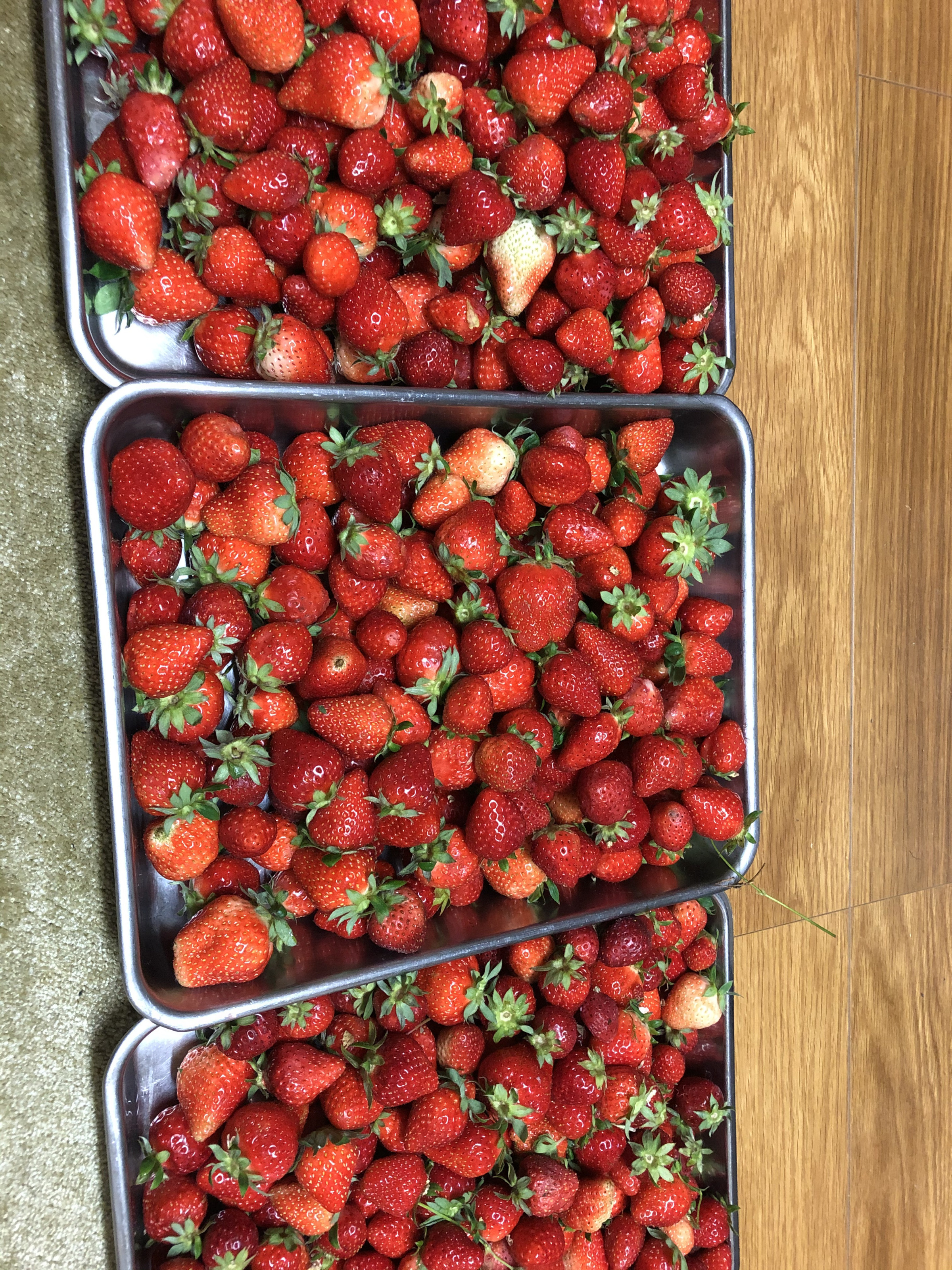 地元の農家さんのイチゴ🍓