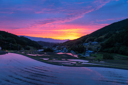 細川の棚田の夕陽(５月)