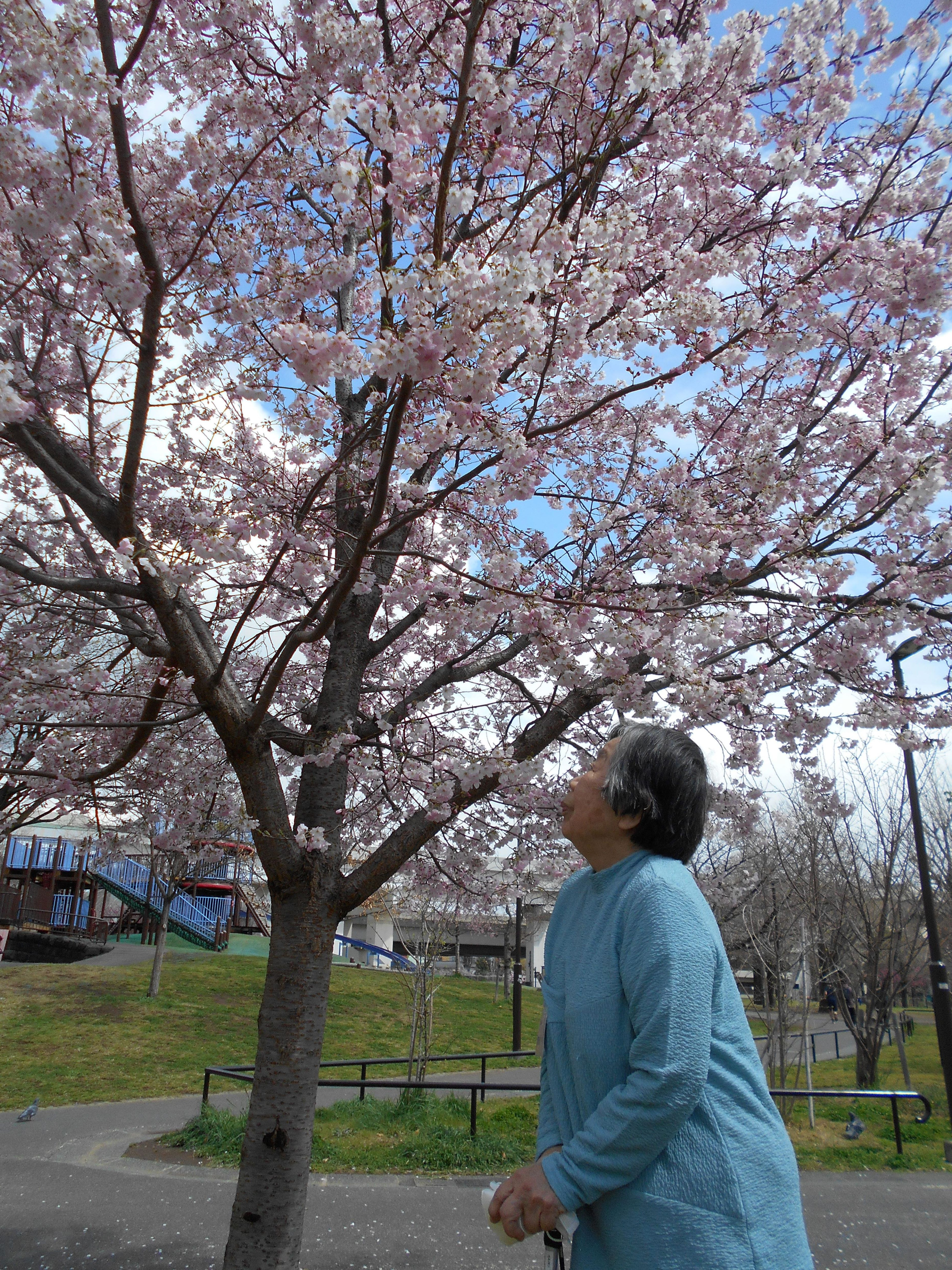 DSCN0019 - 繧ｳ繝斐・ (2).JPG