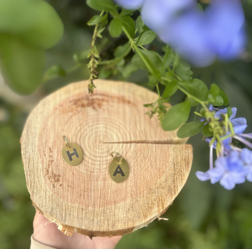 11/15、先着10ワン限定、来場者プレゼント