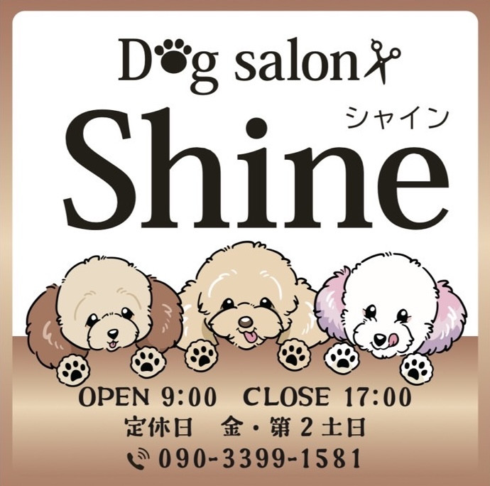 Dog salon Shine