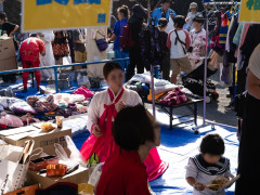 DSC02488.jpg