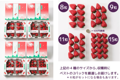 size-page.jpg