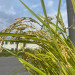 D55AF6AC-BC13-4D7D-BC18-2884E918A76A.jpg