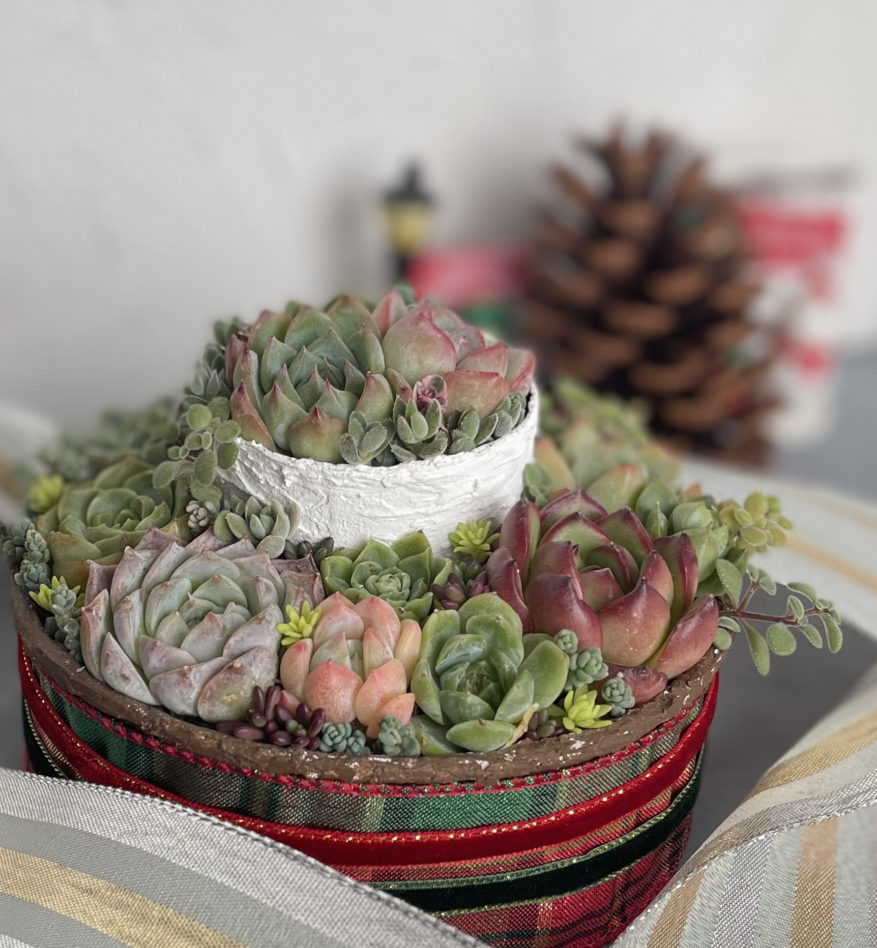 二段ケーキ　レッスン