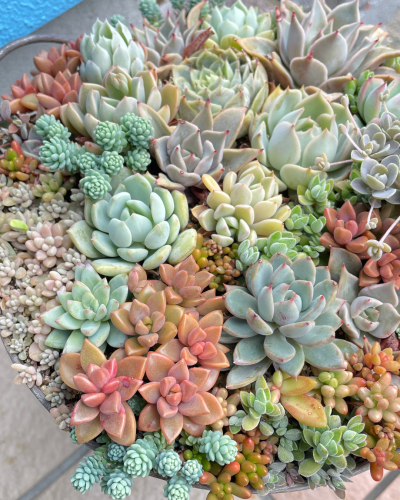 名称未設定のデザイン - 5.png