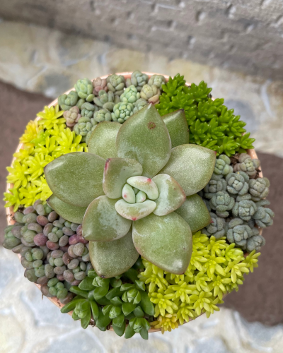 名称未設定のデザイン - 3.png