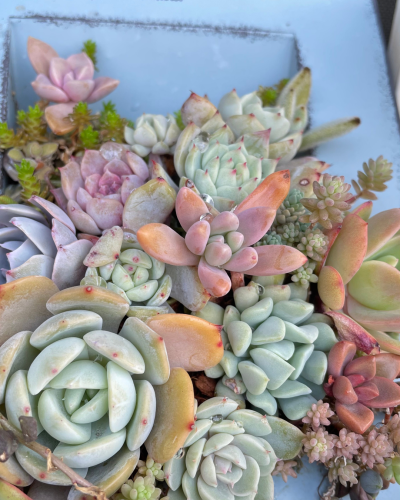 名称未設定のデザイン - 4.png