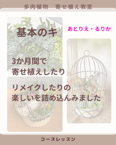 ジョーロのコピー (1).png