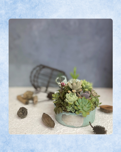写真集10.png