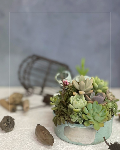 白 シンプル レシピ instagram投稿 - 2.png