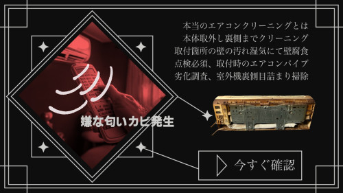 日本国エアコン汚れ.jpeg