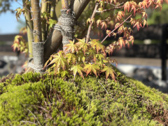 IMG_1288.jpeg