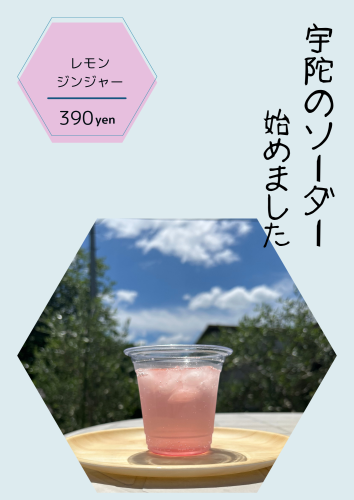 栃木の (4).png