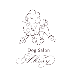 PNG 背景透過.png