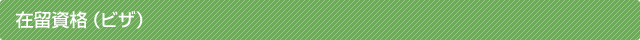 h2_visa.gif