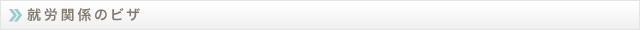 h3_visa_working.gif