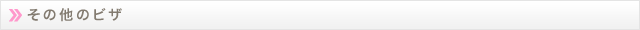 h3_visa_other.gif