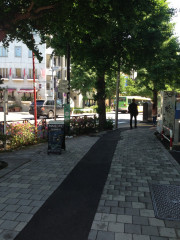 道2.jpg