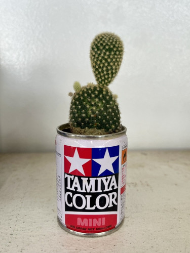 IMG_0682.jpeg