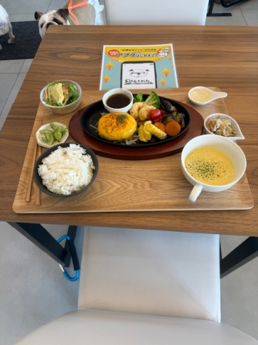 ブリアン2.png