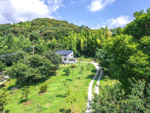 DJI_0109 (1).jpg
