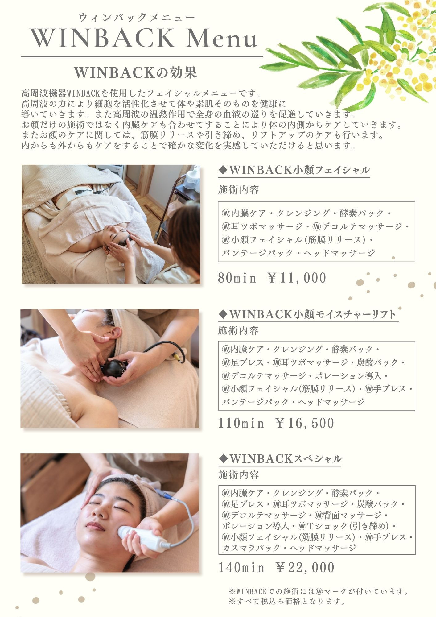 ♢細胞活性フェイシャル WINBACK♢