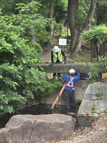 ブログ江戸川公園３.jpg