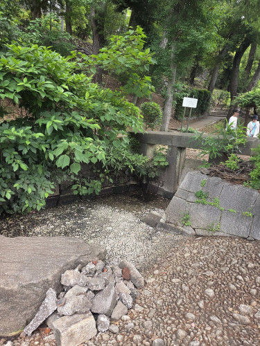 ブログ江戸川公園４.jpg